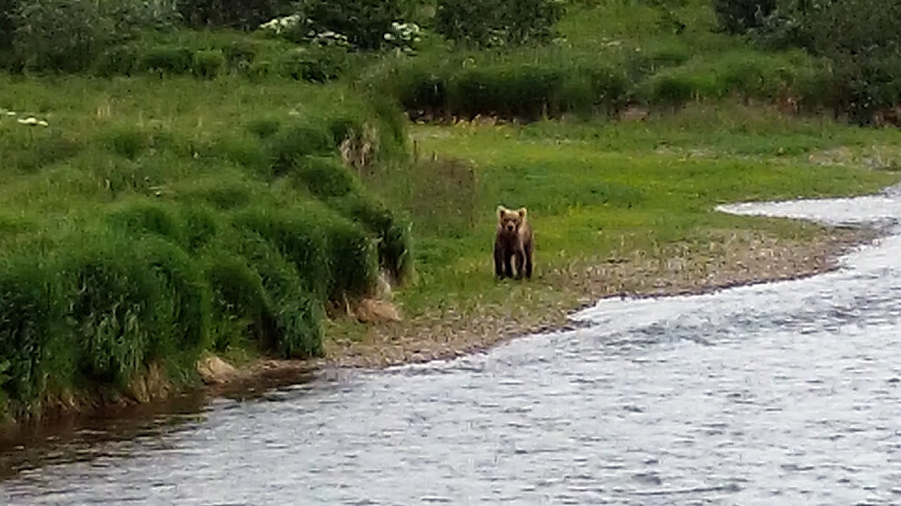 Bear River Alaska